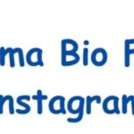 "Bold and confident Sigma male Instagram bio for 2025, highlighting exclusivity, trendiness, and a fearless personality